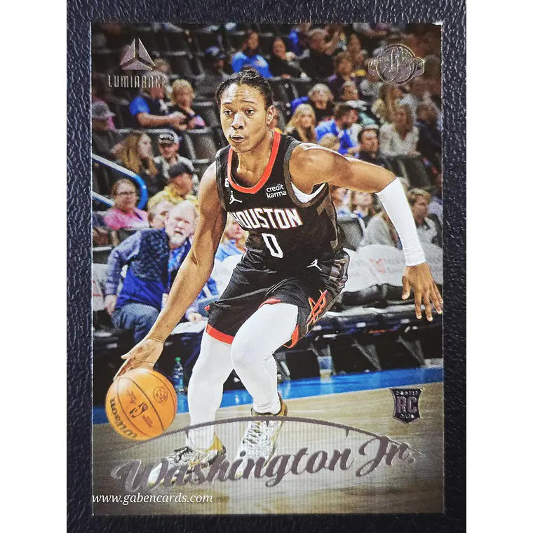 TyTy Washington Jr./Luminance 1