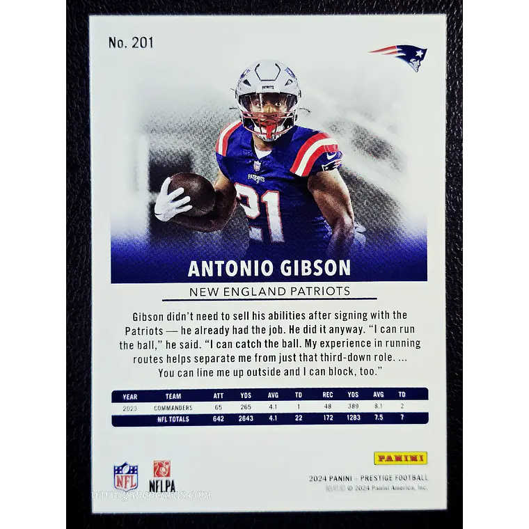 Antonio Gibson 2