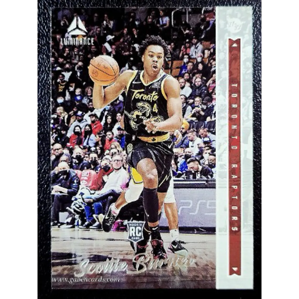 Scottie Barnes/Luminance 1