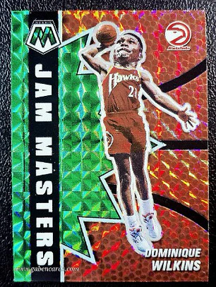 Dominique Wilkins