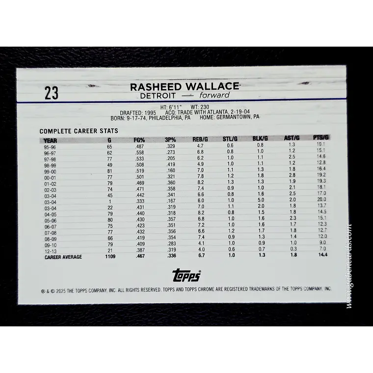 Rasheed Wallace 2
