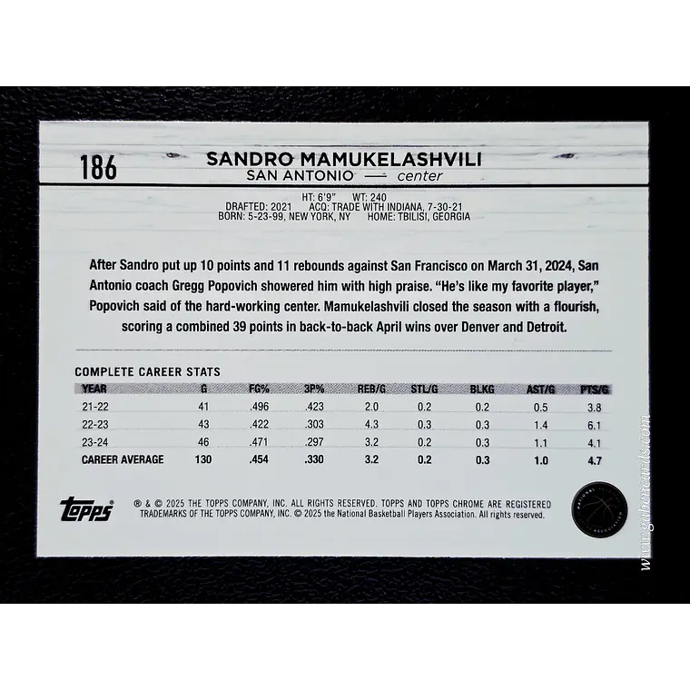 Sandro Mamukelashvili 2