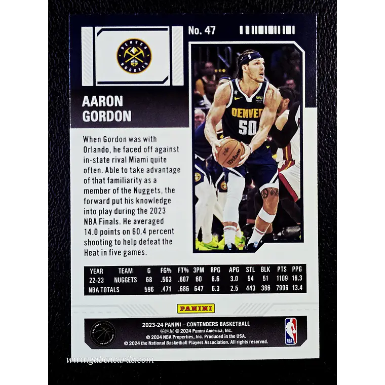 Aaron Gordon 2