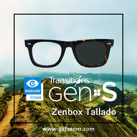 Transitions GEN S Tallado 