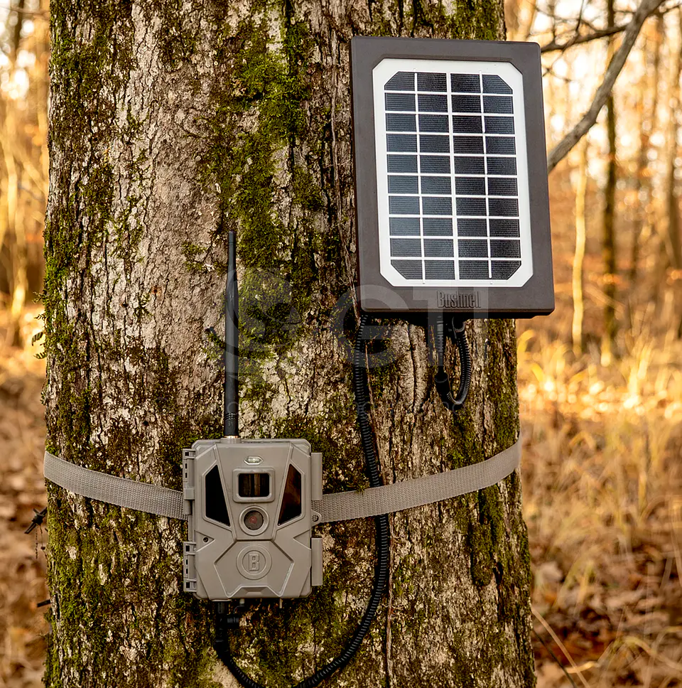 BUSHNELL | Solar Panel Tan, Box 2