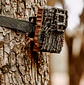 BROWNING | Trail Camera Strike Force Pro Nano Dual Lens 46MP - Miniatura 4