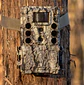 BUSHNELL | CORE DS-4K – Cámara trampa 32MP No Glow, camuflaje Treebark, caja 5L - Miniatura 3