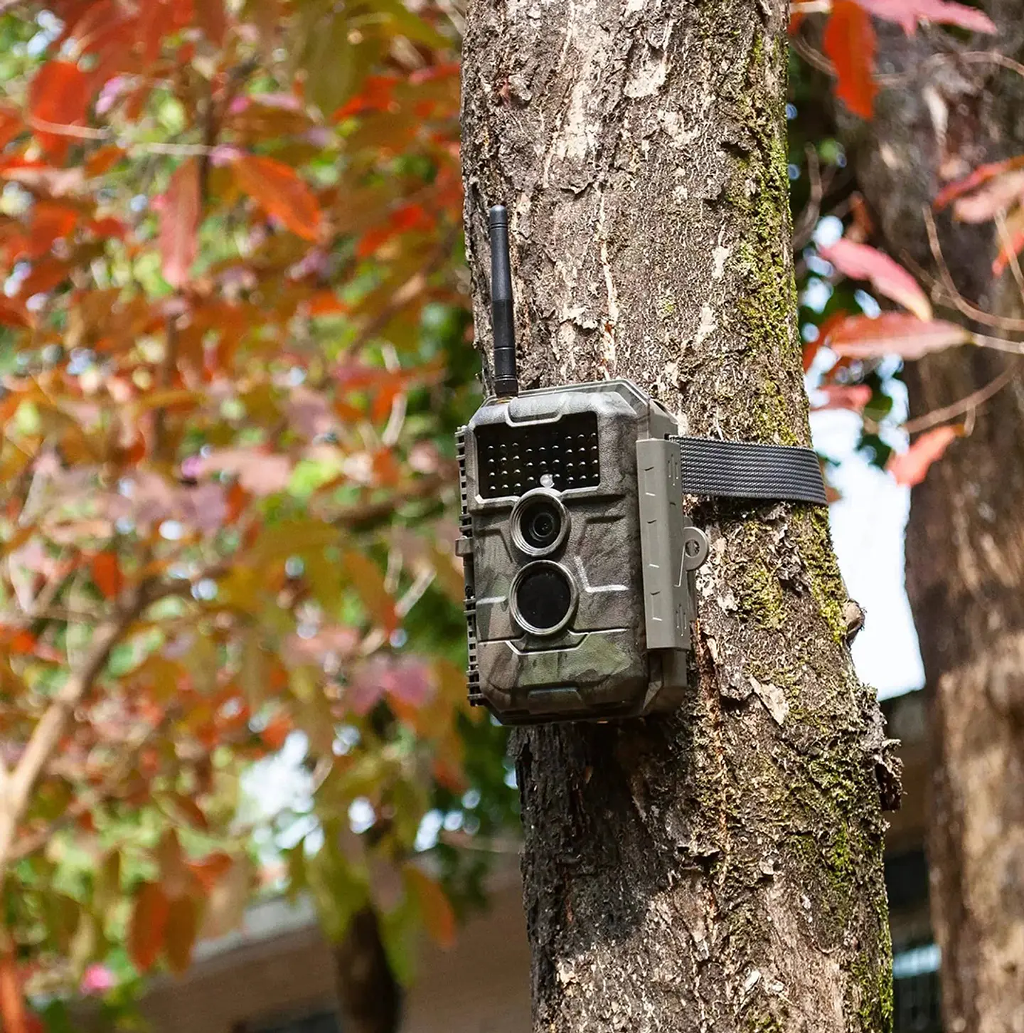 GardePro E6 – Cámara Trampa WiFi para Monitoreo de Fauna Silvestre 3