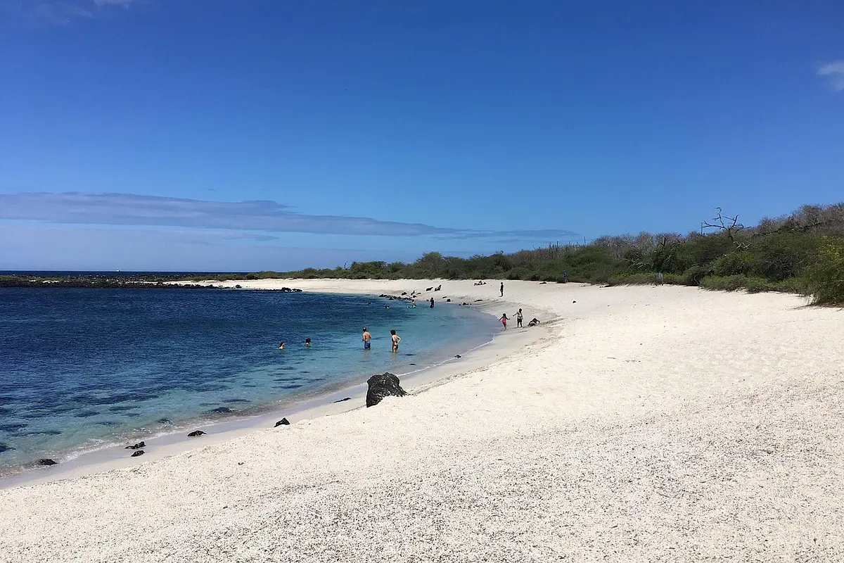 Archipiélago <span style="text-wrap-mode: initial;">Galápagos - T</span><span style="text-wrap-mode: initial;">ierra mágica</span><div><span style="text-wrap-mode: initial;"><br></span></div><div><br></div>