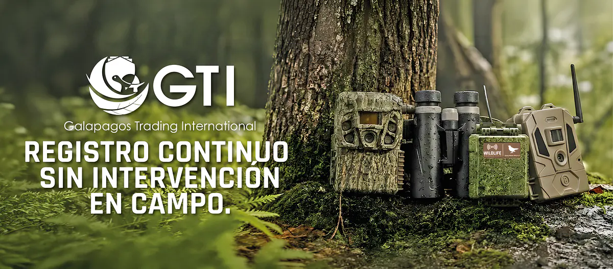 Título del banner