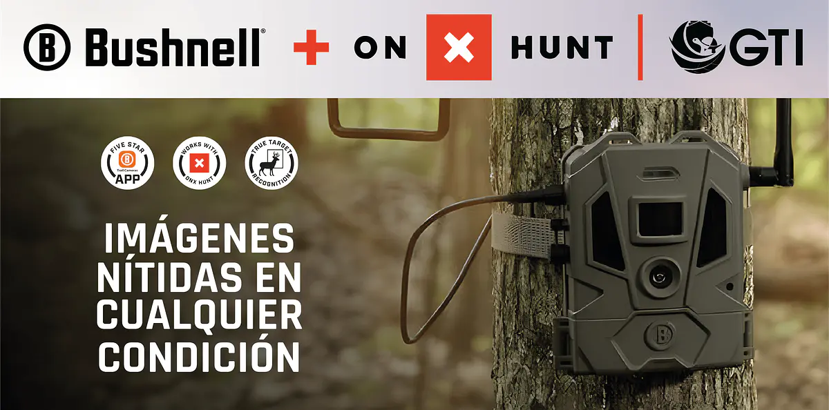 Título del banner