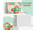 COLEÇÃO ESCOLAR 2024 - METAMORPAPER