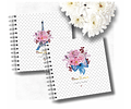 Arquivo planner debutante