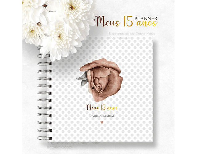 Arquivo planner debutante