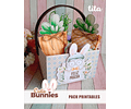 Arquivo Cute Bunnies - Pack Printables - Tita