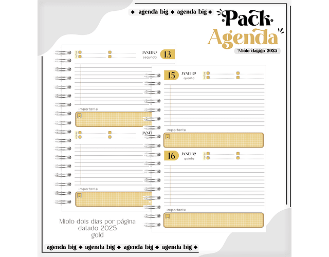 Arquico Pack de Agendas Universitários Masculino