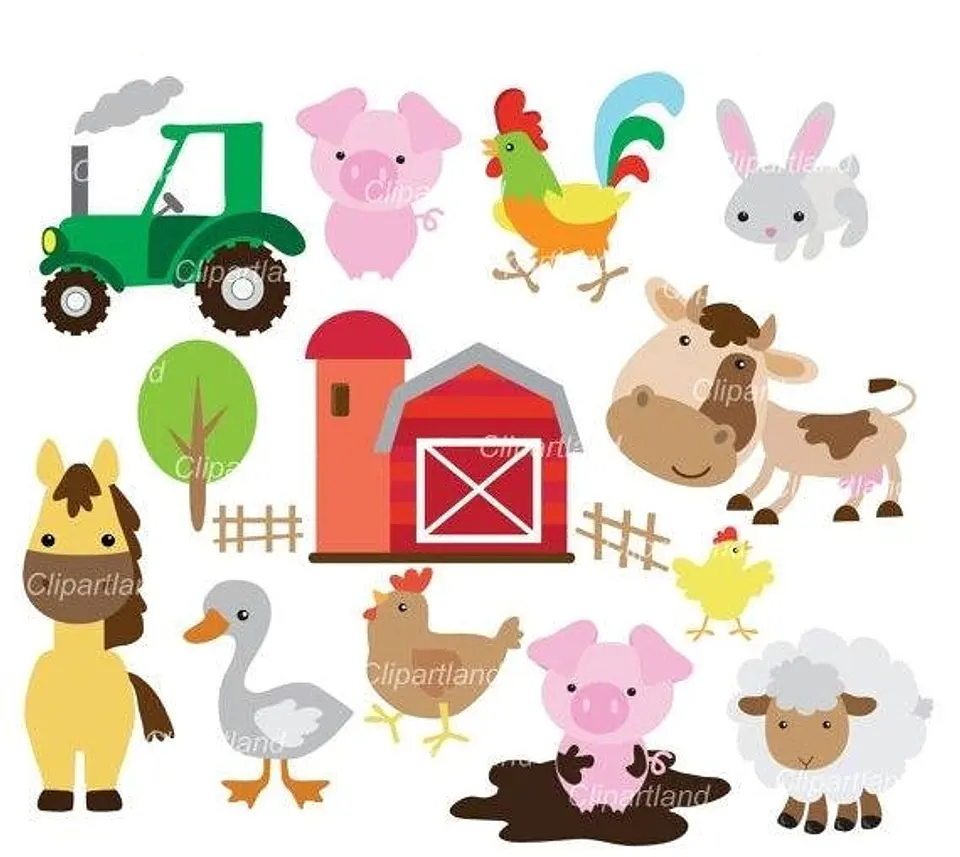 Kit Digital Fazenda  1