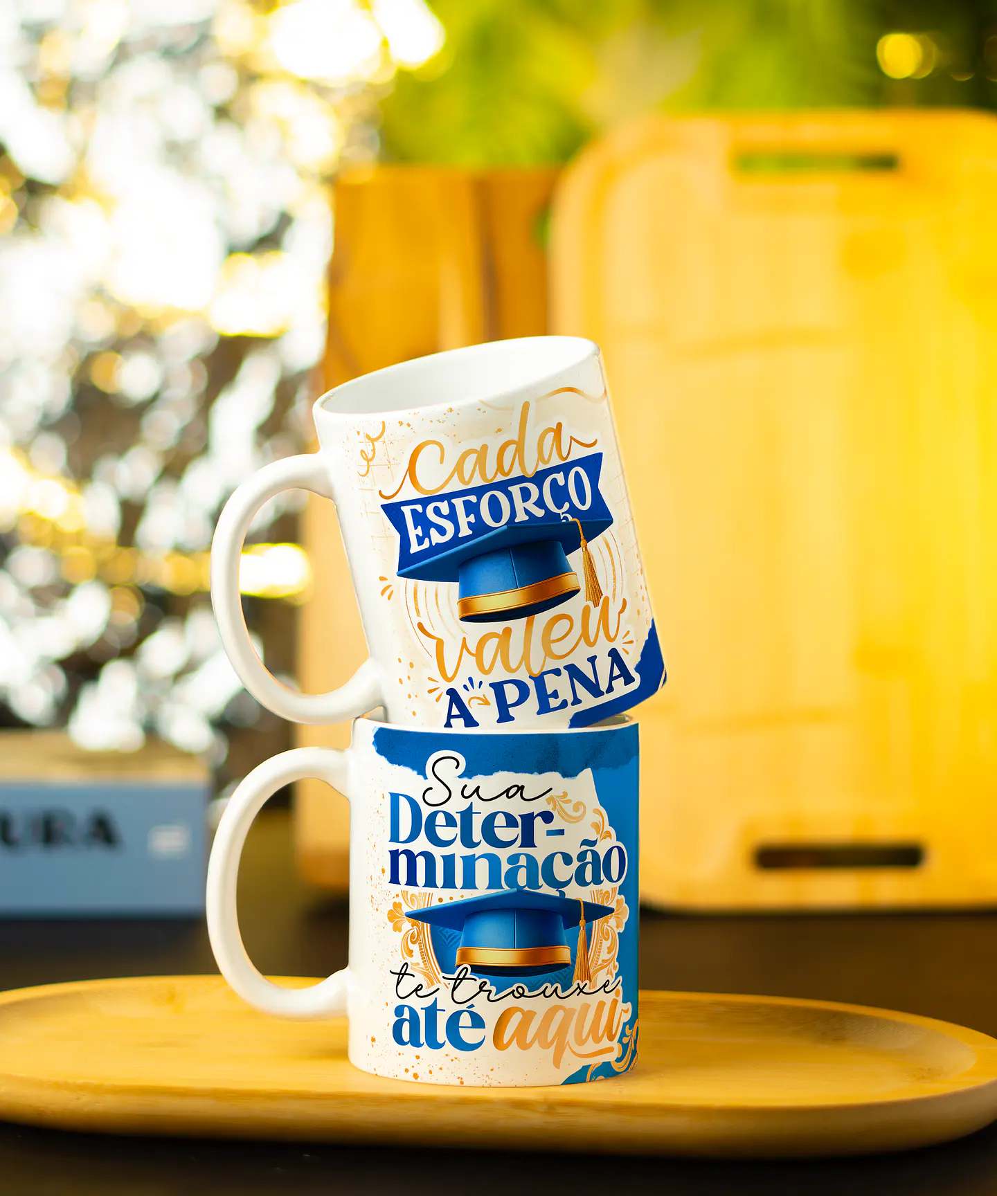 Arquivo Coleção Canecas Formatura - Avião Sem Asa 20