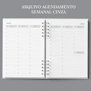 Arquivo Agenda Semanal 30min Cinza - Bicho Papel 