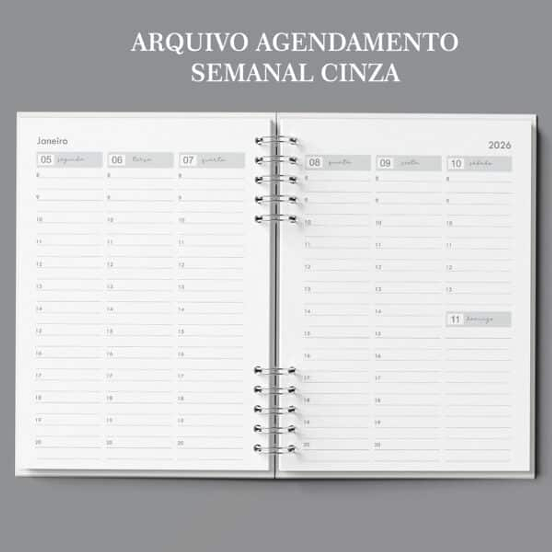 Arquivo Agenda Semanal 30min Cinza - Bicho Papel  1