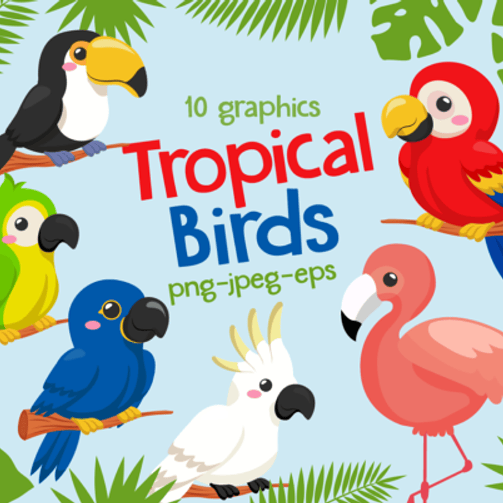 Kit Digital Pássaros Tropicais  1