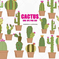 Kit Digital Cactus  - Thumbnail 1