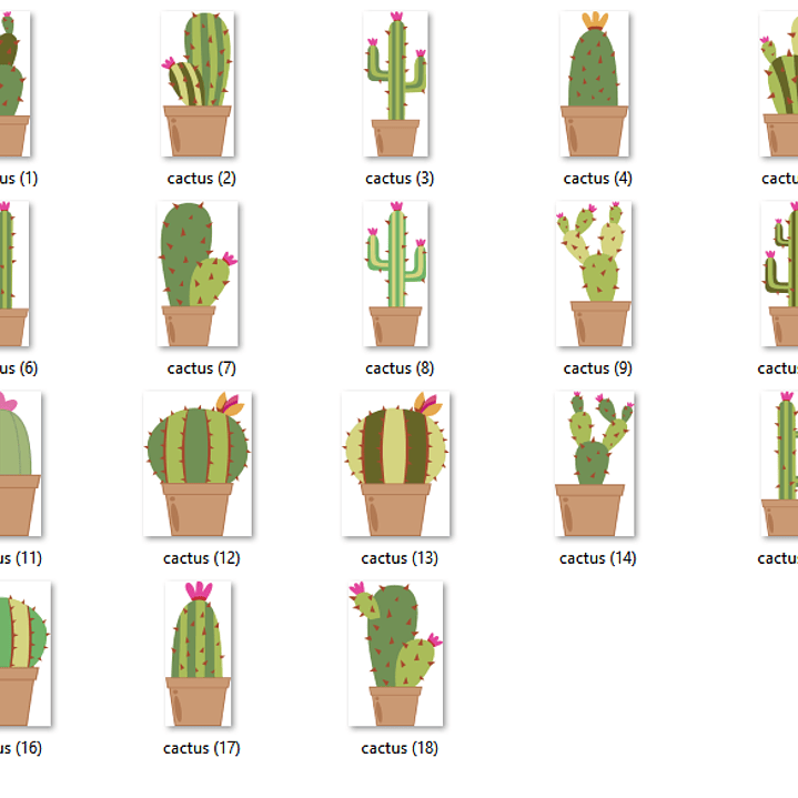 Kit Digital Cactus  2