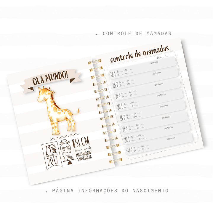 Arquivo Caderneta Safari Baby - Papel Amado 3
