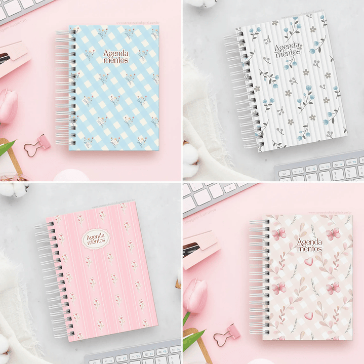 Arquivo Agendamentos Procedimentos 2025 8 Cores - Sara  2