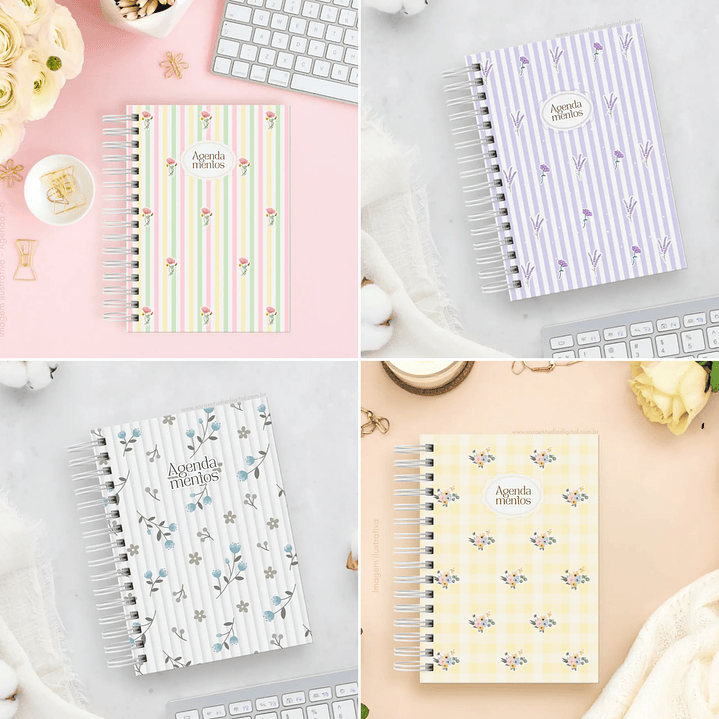 Arquivo Agendamentos Procedimentos 2025 8 Cores - Sara  11