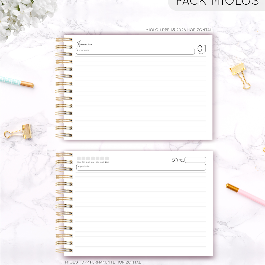 Arquivo Pack Miolos Neutros - Lina  7