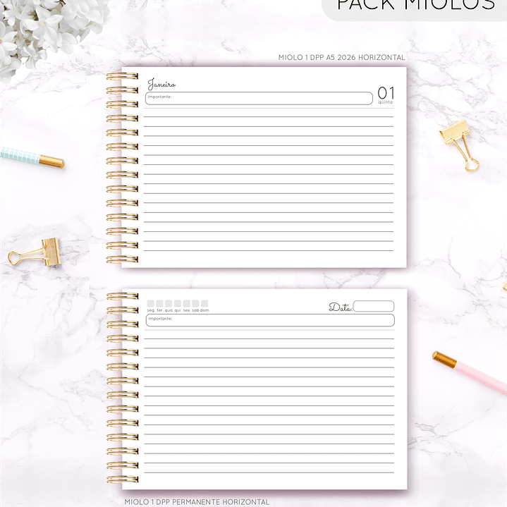 Arquivo Pack Miolos Neutros - Lina  7