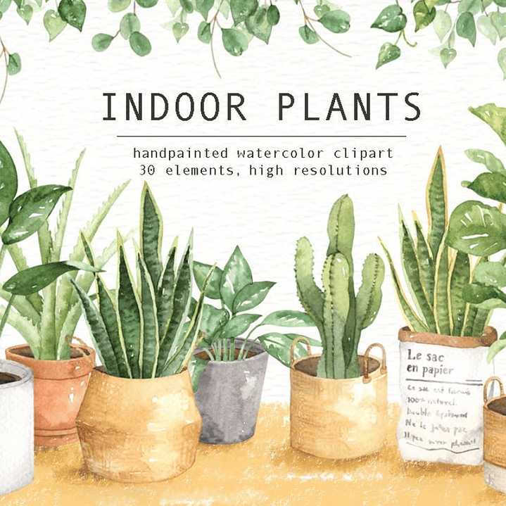 Kit Digital Plantas Aquareladas  1