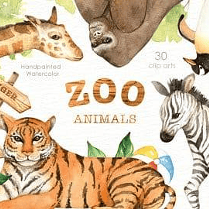Kit Digital Zoo Animails 1