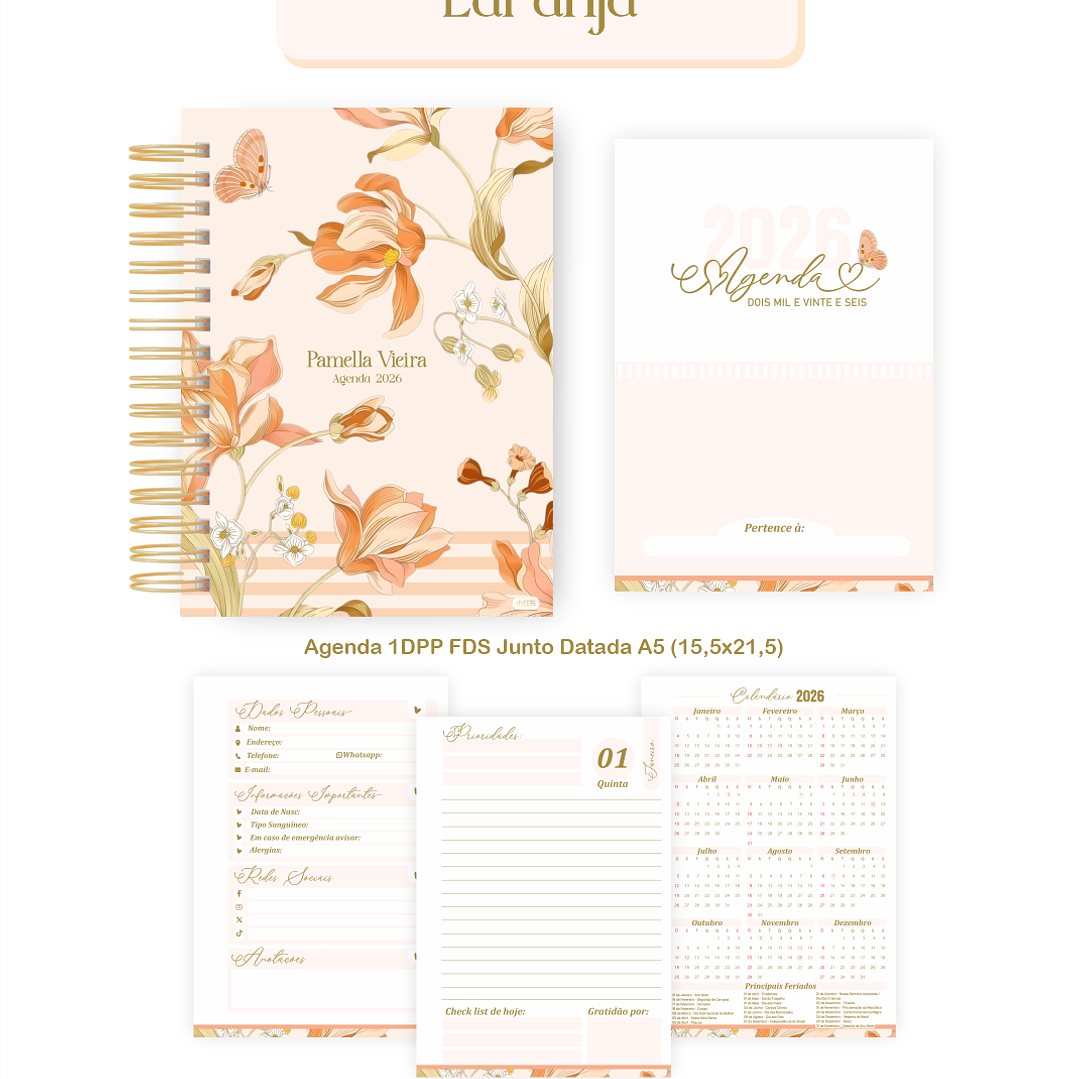 Arquivo Encadernação 2026 Abstrato Laranja - Pamella  3