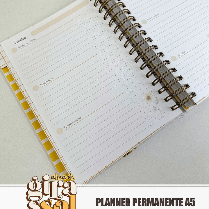 Arquivo Coleção Girassol Encadernação 01 - Tita  23