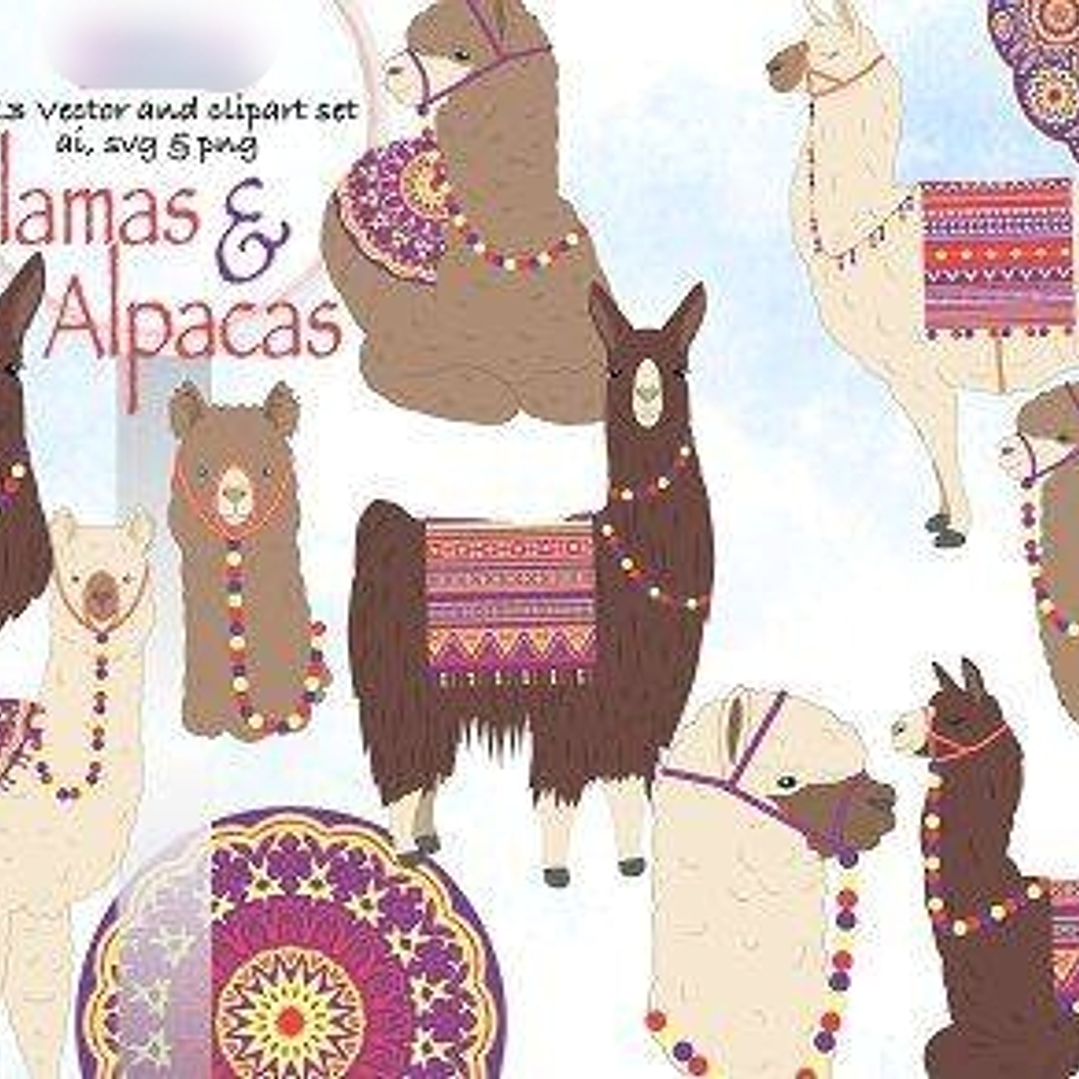 Kit Digital  Alpacas e lhamas 1