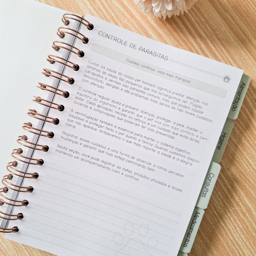Arquivo Combo Caderneta Pet - Branco Papel 5