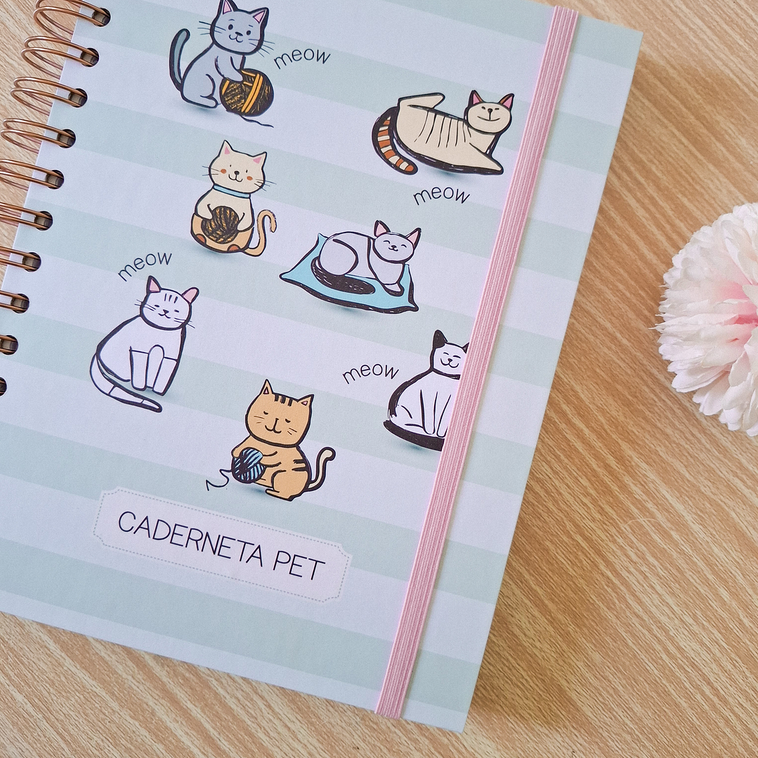 Arquivo Combo Caderneta Pet - Branco Papel 6