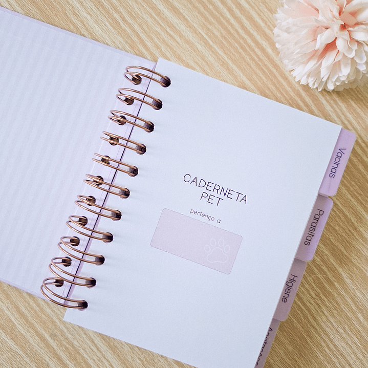 Arquivo Combo Caderneta Pet - Branco Papel 12