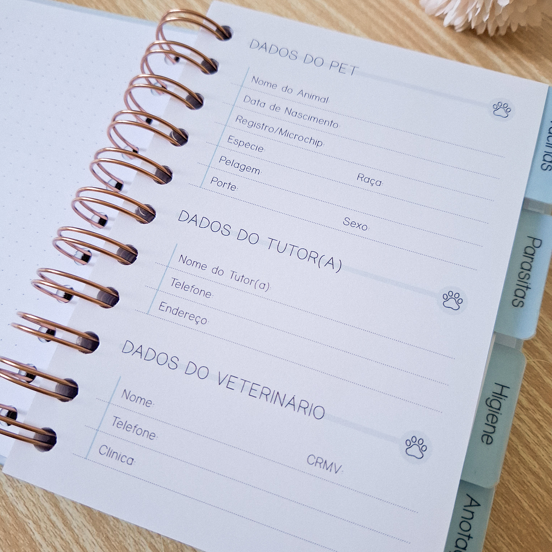 Arquivo Combo Caderneta Pet - Branco Papel 15