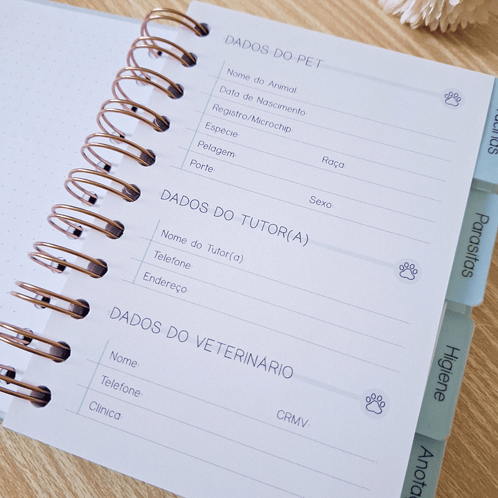 Arquivo Combo Caderneta Pet - Branco Papel 15