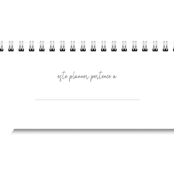 Arquivo Miolo Deskplanner Cores 2026 - Trilha de Papel  2