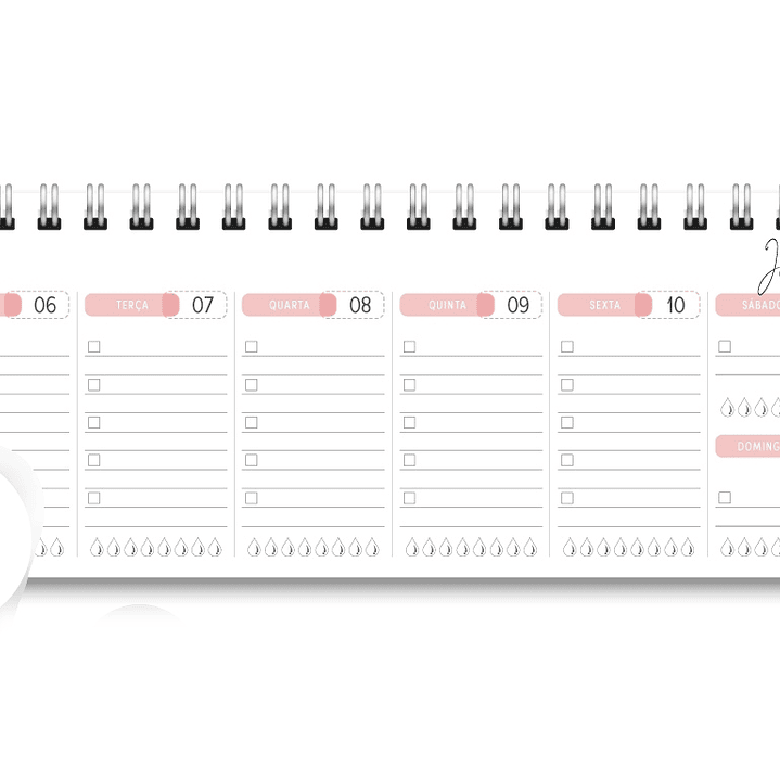 Arquivo Miolo Deskplanner Cores 2026 - Trilha de Papel  5