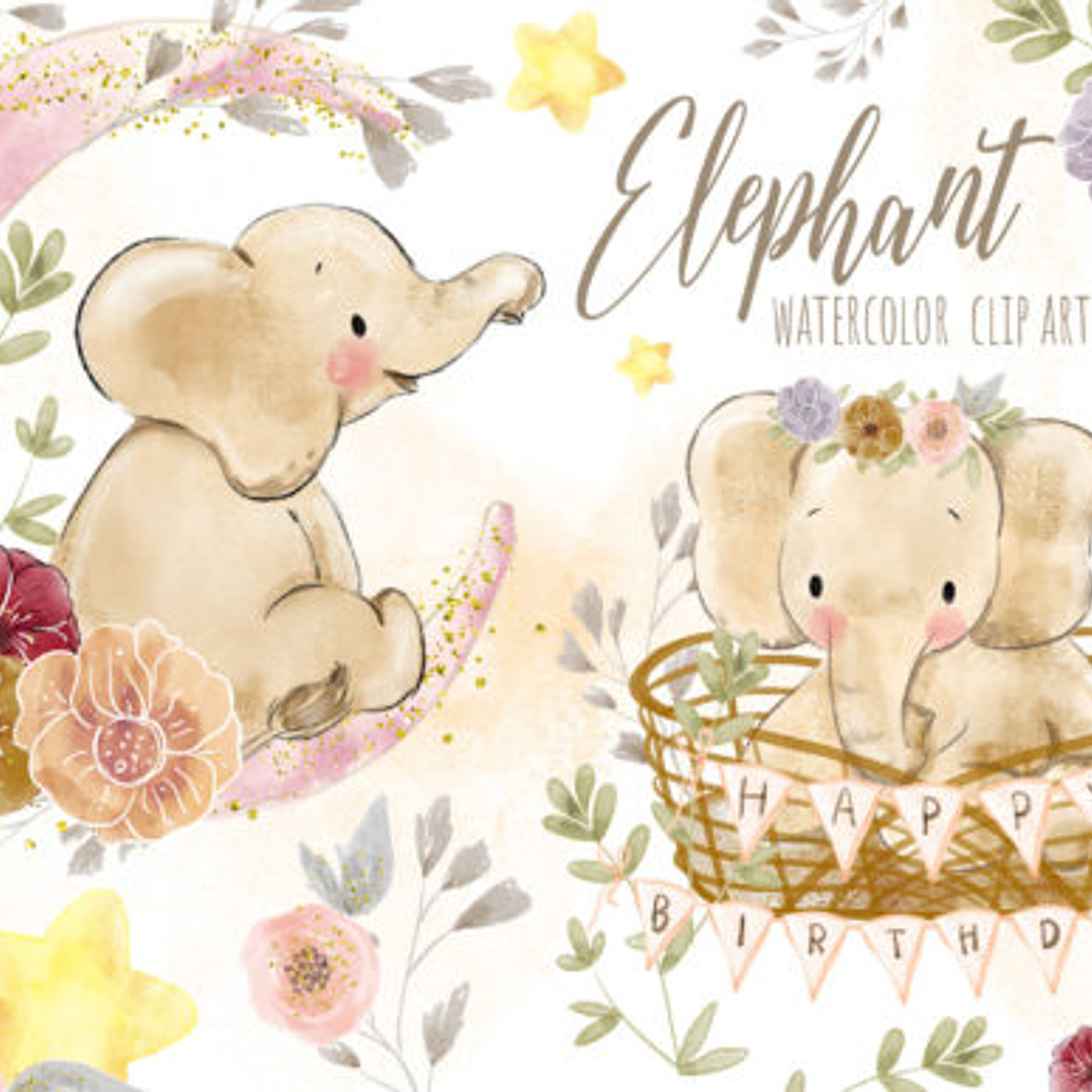 Kit Digital Elefantinho 1