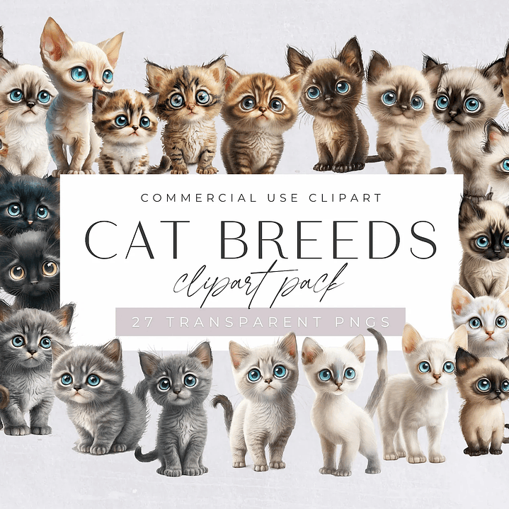 Kit Digital Raça de Gato  1