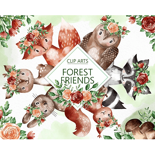 Kit Digital Amigos da Floresta 