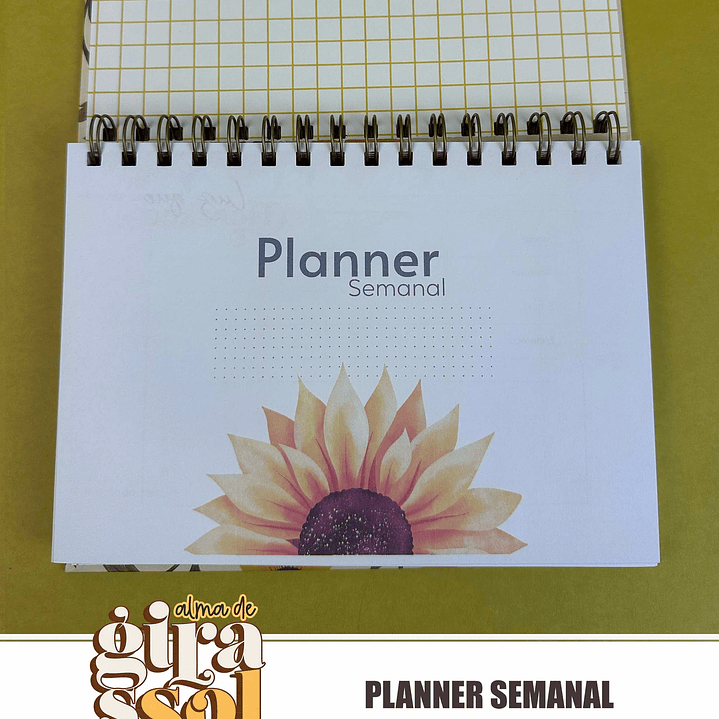 Arquivo Combo Encadernação 02 Alma de Girassol  14