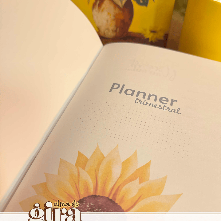 Arquivo Alma de Girassol Pack Midori 01 - Tita  2