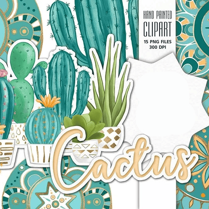 Kit Digital Cactus  1